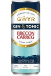 Gwyr Welsh Gin & Tonic RTD Cans